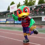 ファジ丸もアプリに夢中!団結してみんなで健康に!!